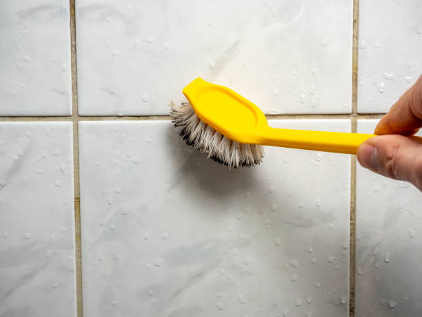 Best Black Mold Removal  in Brilliant, AL