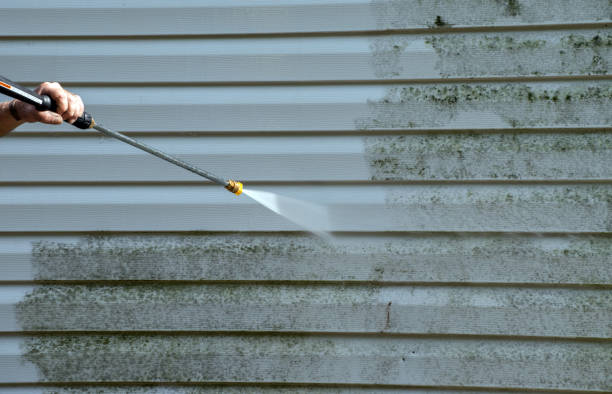 Best Office Mold Removal Services  in Brilliant, AL
